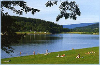 Perlsee, Waldm&uuml;nchen